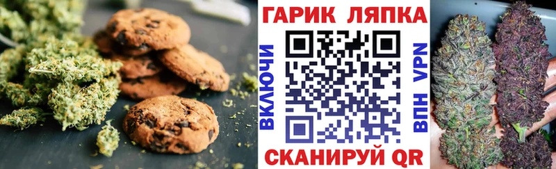 как найти закладки  Гаврилов-Ям  МЕГА зеркало  Еда ТГК марихуана 