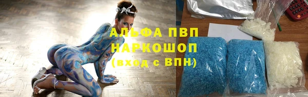 PSILOCYBIN Богородицк