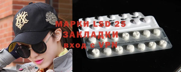 PSILOCYBIN Богородицк