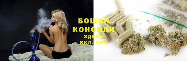 PSILOCYBIN Богородицк