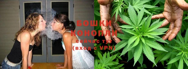 PSILOCYBIN Богородицк