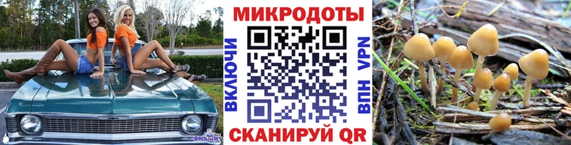 Галлюциногенные грибы Psilocybine cubensis  Гаврилов-Ям 