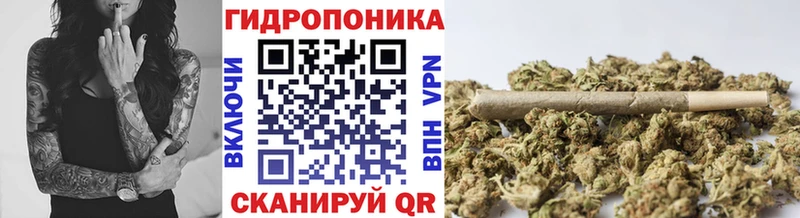 маркетплейс клад  где можно купить   Гаврилов-Ям  Канабис сатива 